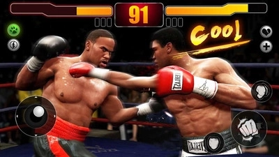 拳击明星(2)