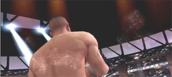 孤胆车神维加斯(2)