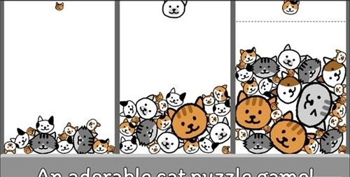 猫咪真的很爆爆