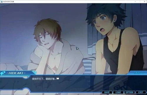 sleepover过夜游戏(1)