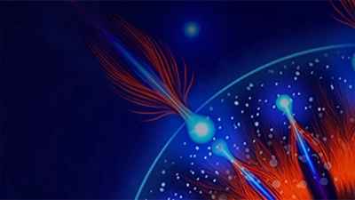 微生物模拟器2026最新版