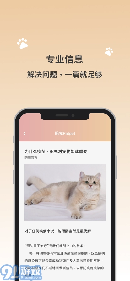 陪宠图3