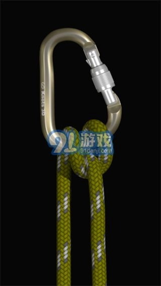 3d绳结图2