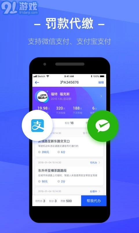 12123查违章图4