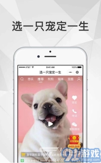 奶宠宠物短视频图2