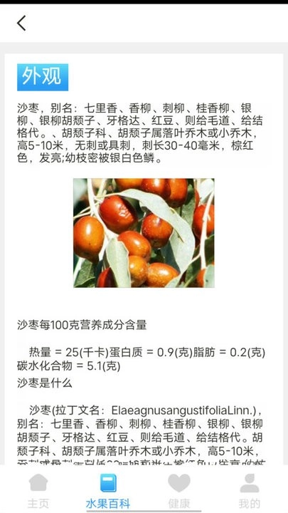 口袋水果知识科普图3