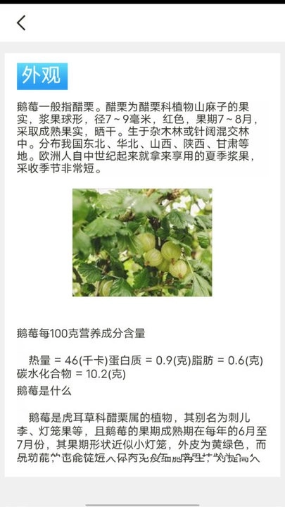 口袋水果知识科普图4