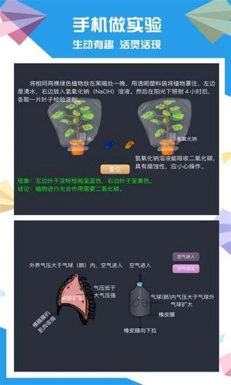 土豆生物图2