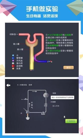 土豆生物图3