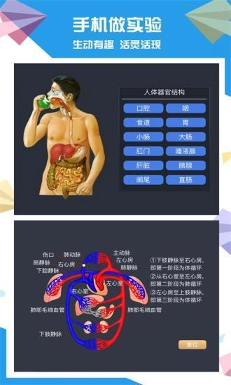 土豆生物图4