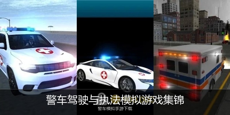 警车驾驶与执法模拟游戏集锦