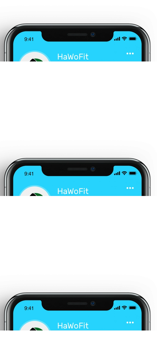 HaWoFit图5