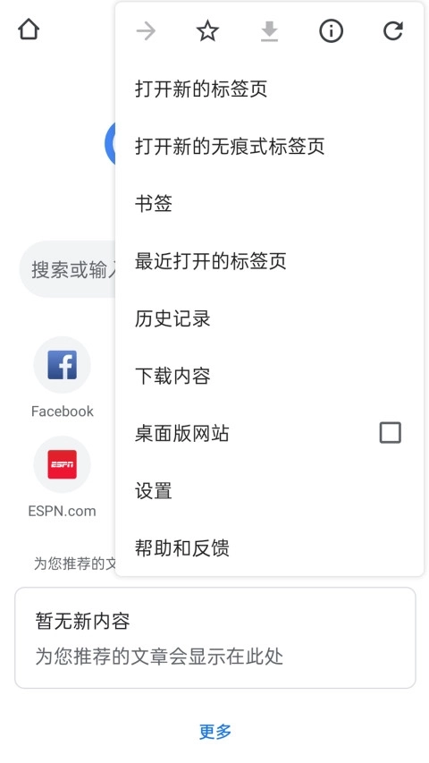 google浏览器(1)