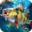 欢乐钓鱼大师全解锁版
