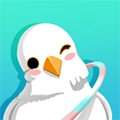 呼啦鸽