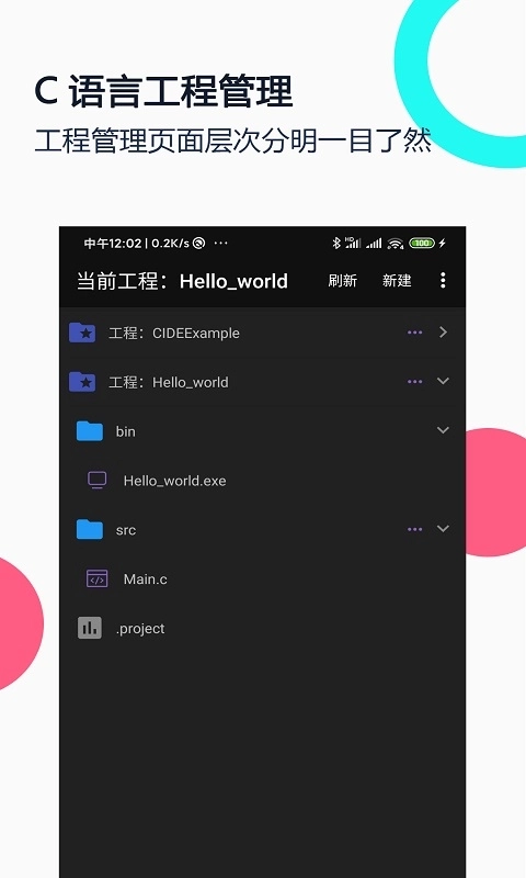 C语言编译器IDE(1)