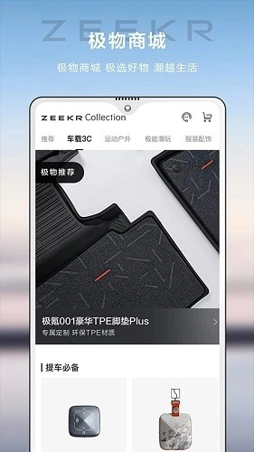 极氪(4)
