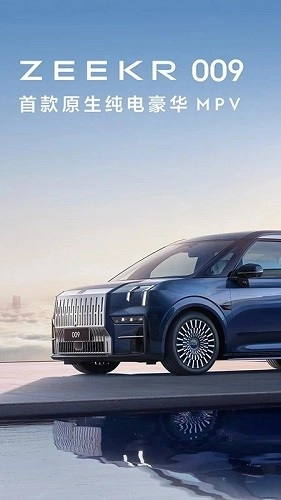 极氪(1)
