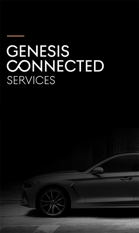 捷尼赛思智能互联图4