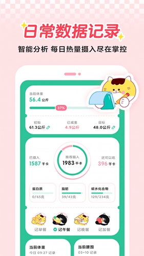 喵轻(2)