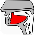 小学英语自然拼读课堂 V1.7.12