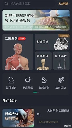 万康人体解剖图2