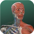 万康人体解剖 V3.2.17