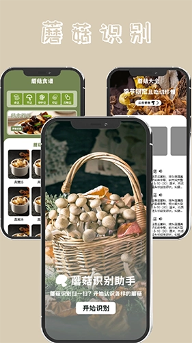 蘑菇识别(3)