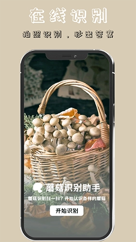 蘑菇识别(2)