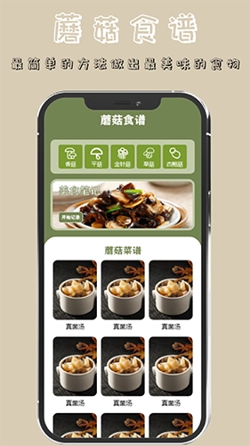蘑菇识别(1)