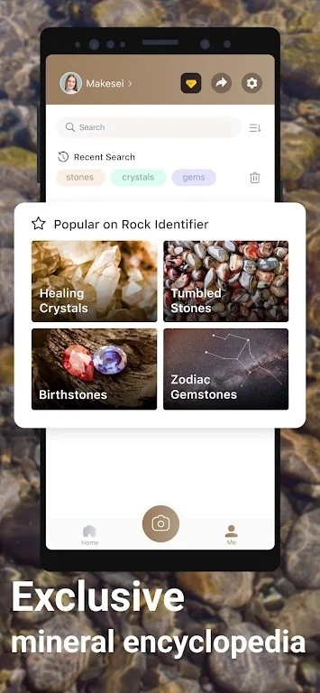 Rock Identifier图2