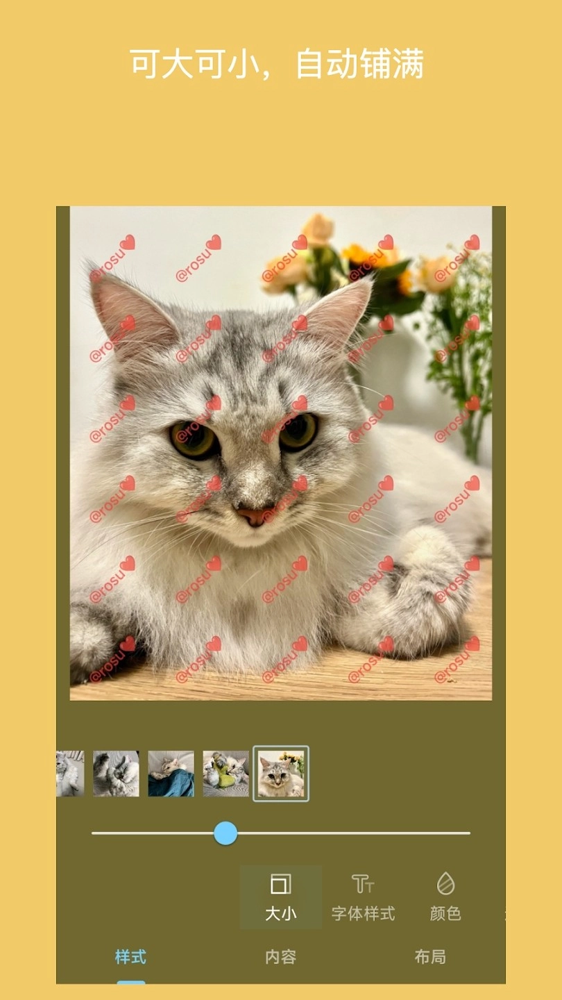 Easy Watermark图4