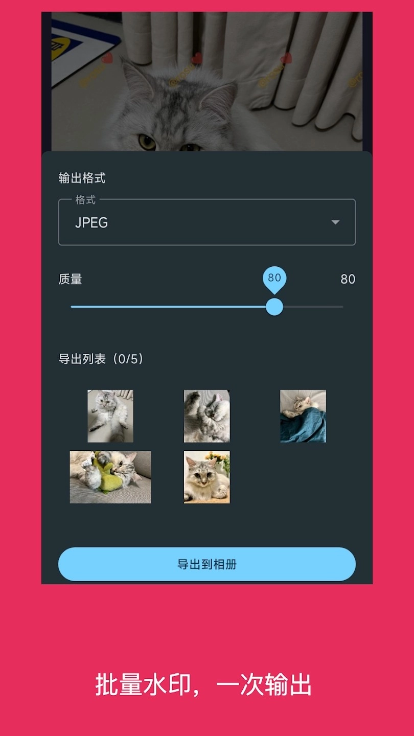 Easy Watermark图1