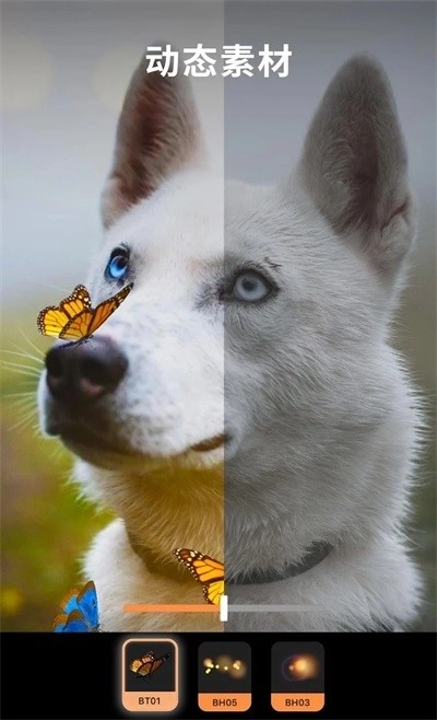 Motionleap2026最新版图1