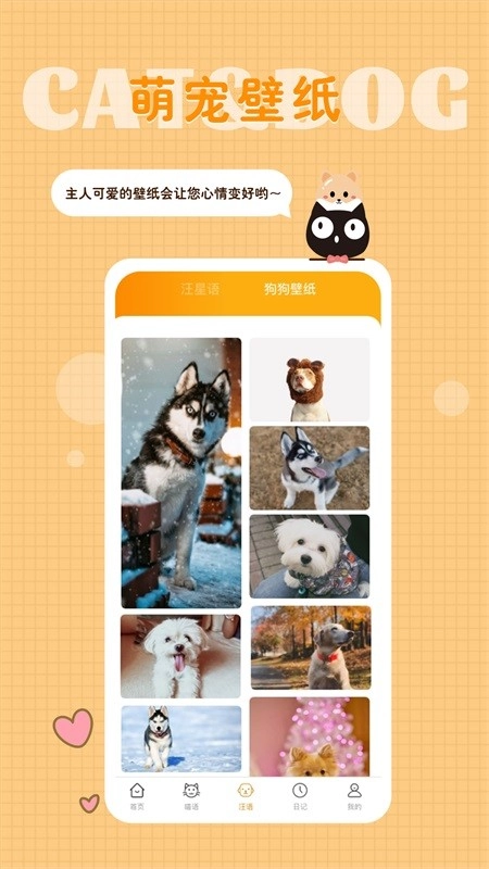 猫语狗语转换器(5)