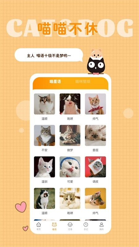 猫语狗语转换器(4)