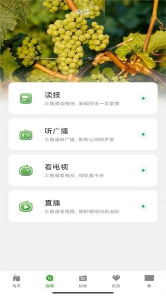 葡萄熟了图1