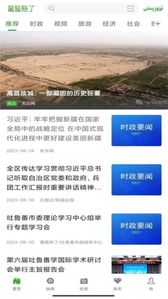 葡萄熟了图4