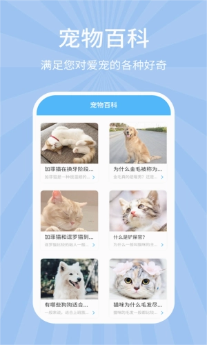 狗猫翻译器