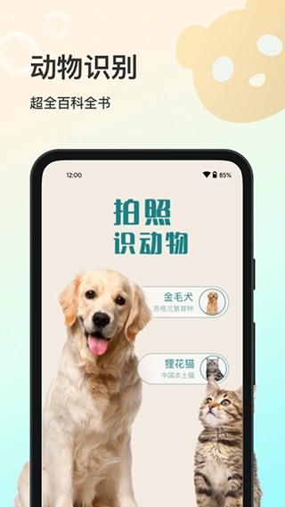 花卉识别图1