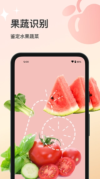 花卉识别图2