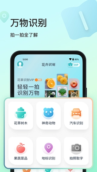 花卉识别图3