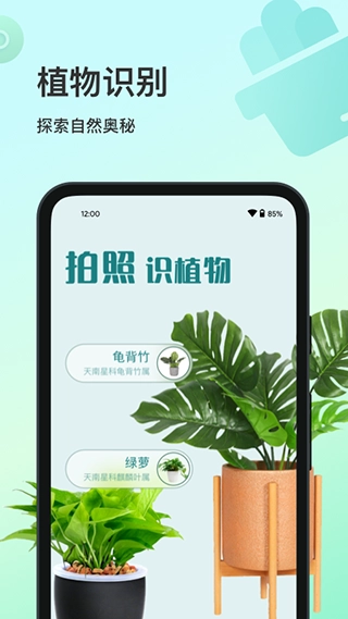 花卉识别图5