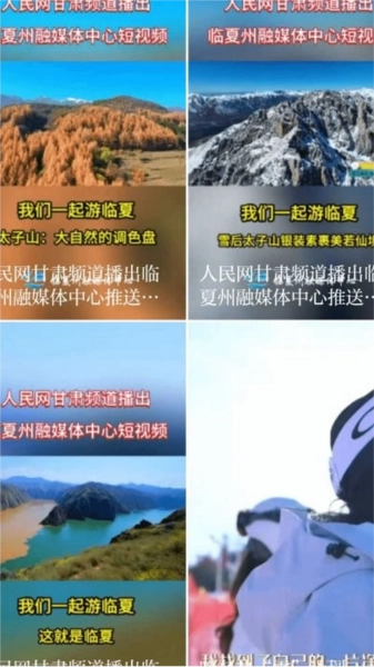 花儿临夏图1