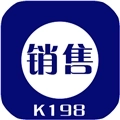 k198销售出库单