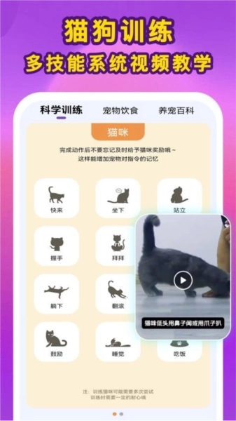 啵啵猫狗语音图3