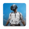 pubg地铁逃生