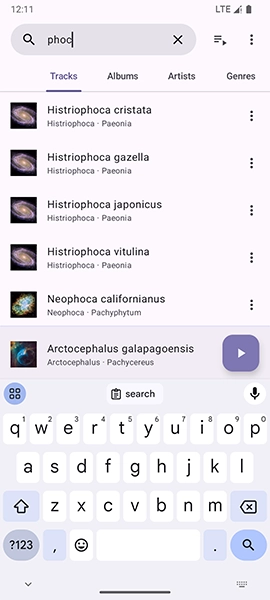 Phocid