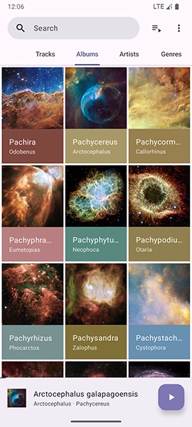 Phocid