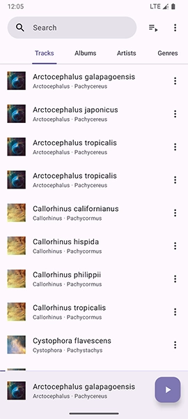 Phocid